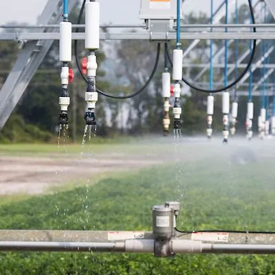 thumbnail for publication: Differences in Perceptions of Agricultural Water Use between the General Public and Local Officials